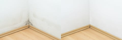Mold in the corner of a wall above the laminate flooring, photos before and after cleaning. Comparative Before and after black mold dirty wall and clean white wall