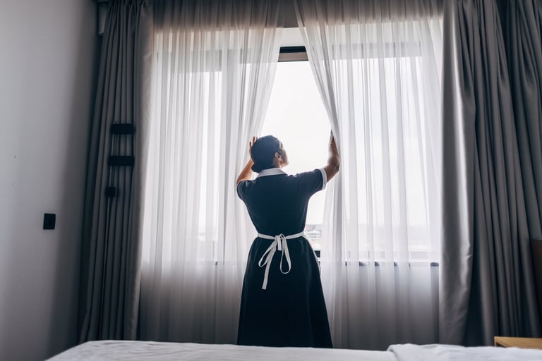 Curtain and window cleaning